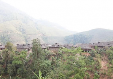 亥公普洱茶介绍，勐库亥公古树茶口感特点