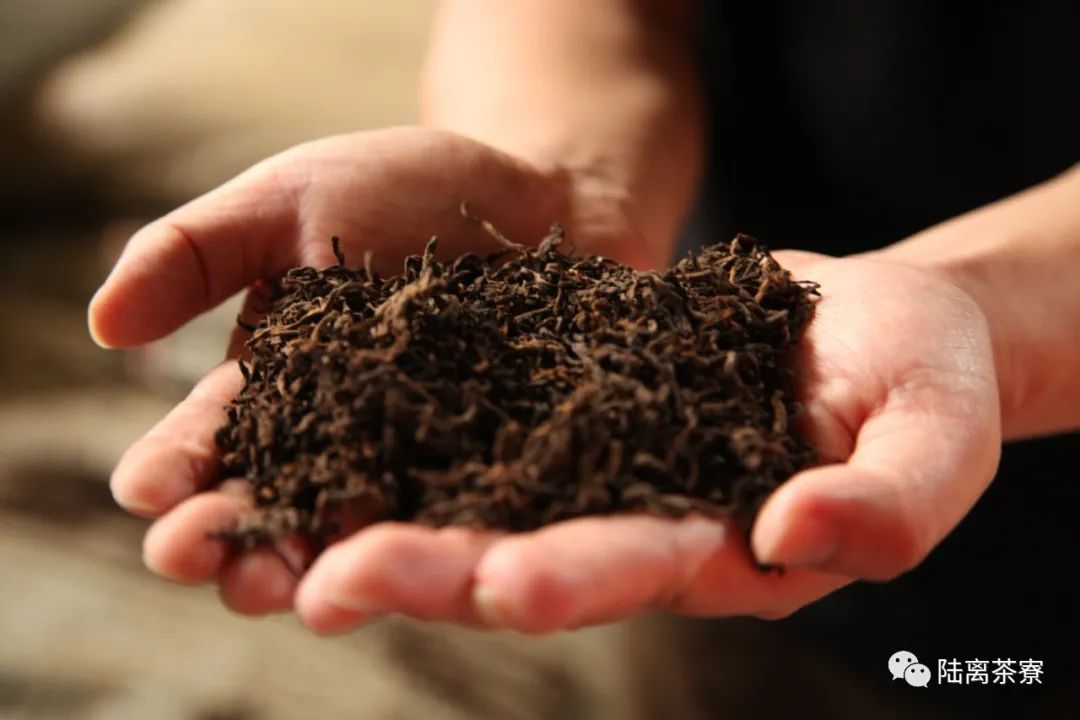 古树离地发酵,突破熟茶固有印象
